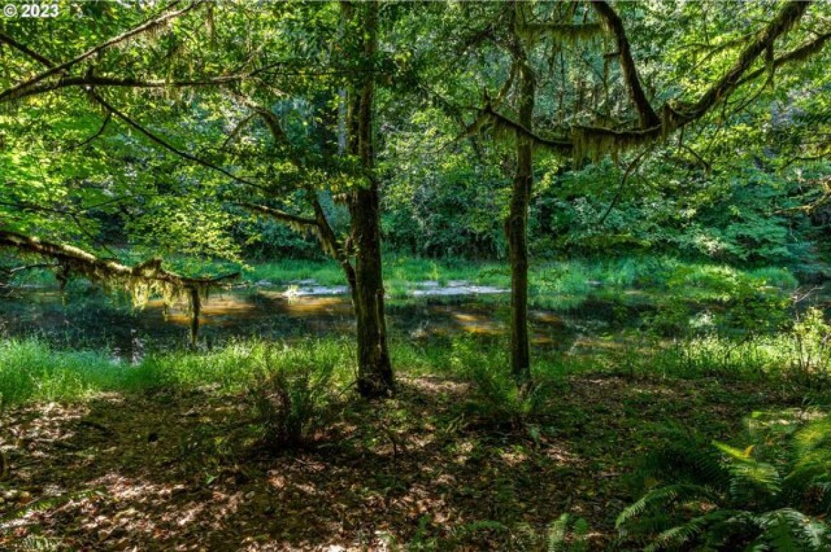 Picture of Residential Land For Sale in Myrtle Point, Oregon, United States