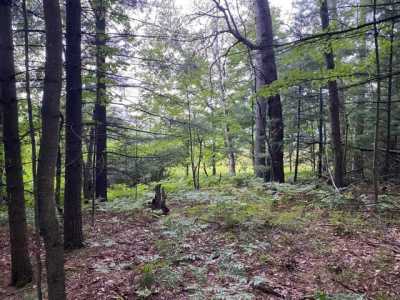 Residential Land For Sale in Harrison, Michigan