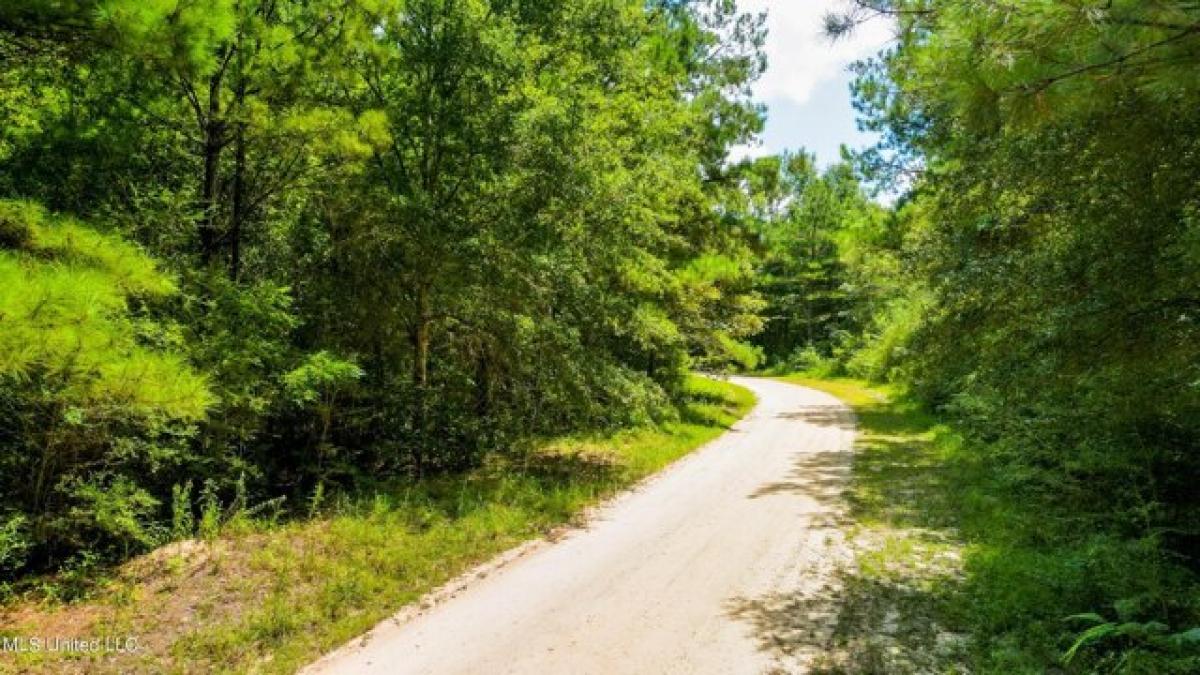 Picture of Residential Land For Sale in Lumberton, Mississippi, United States