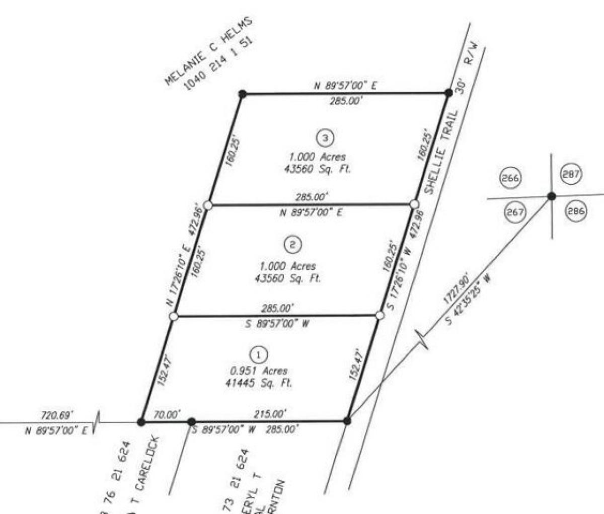 Picture of Residential Land For Sale in Patterson, Georgia, United States