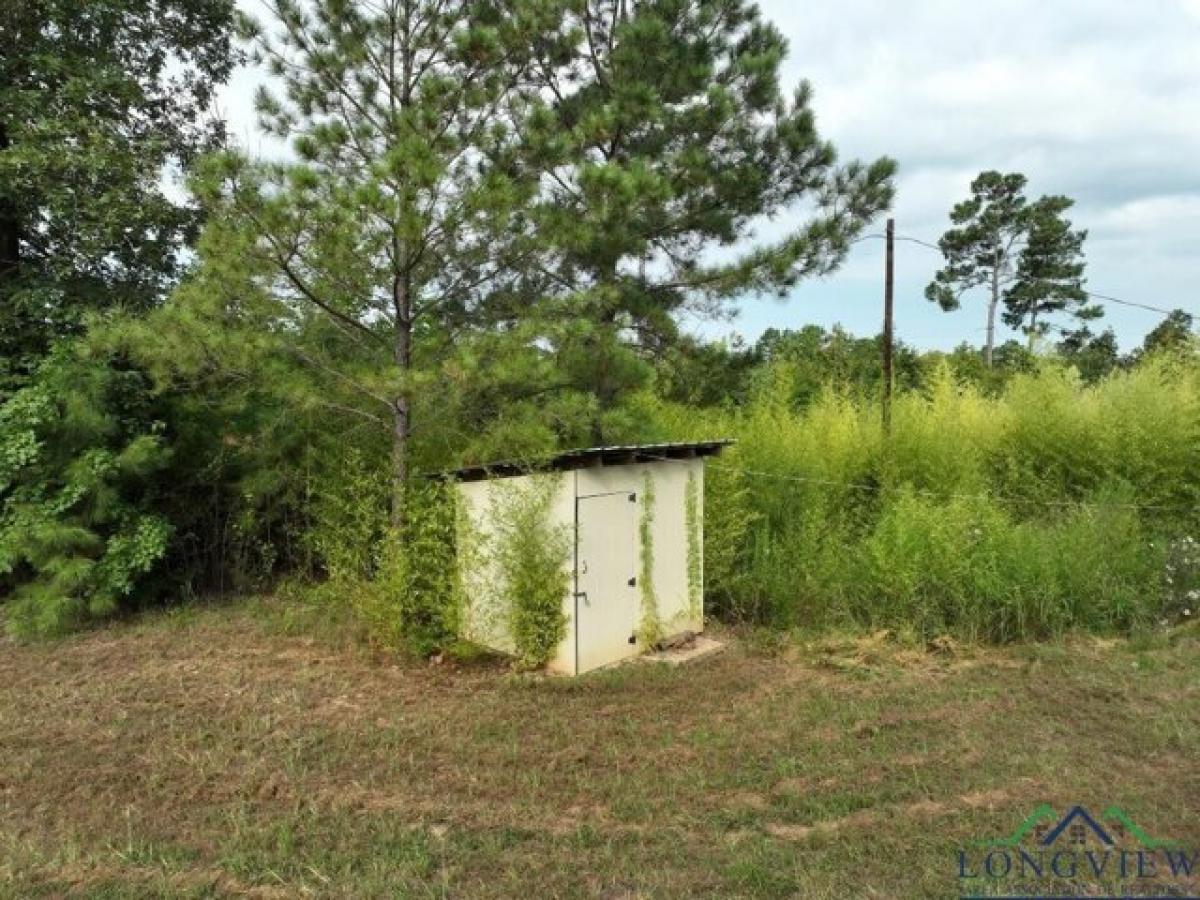 Picture of Residential Land For Sale in Linden, Texas, United States