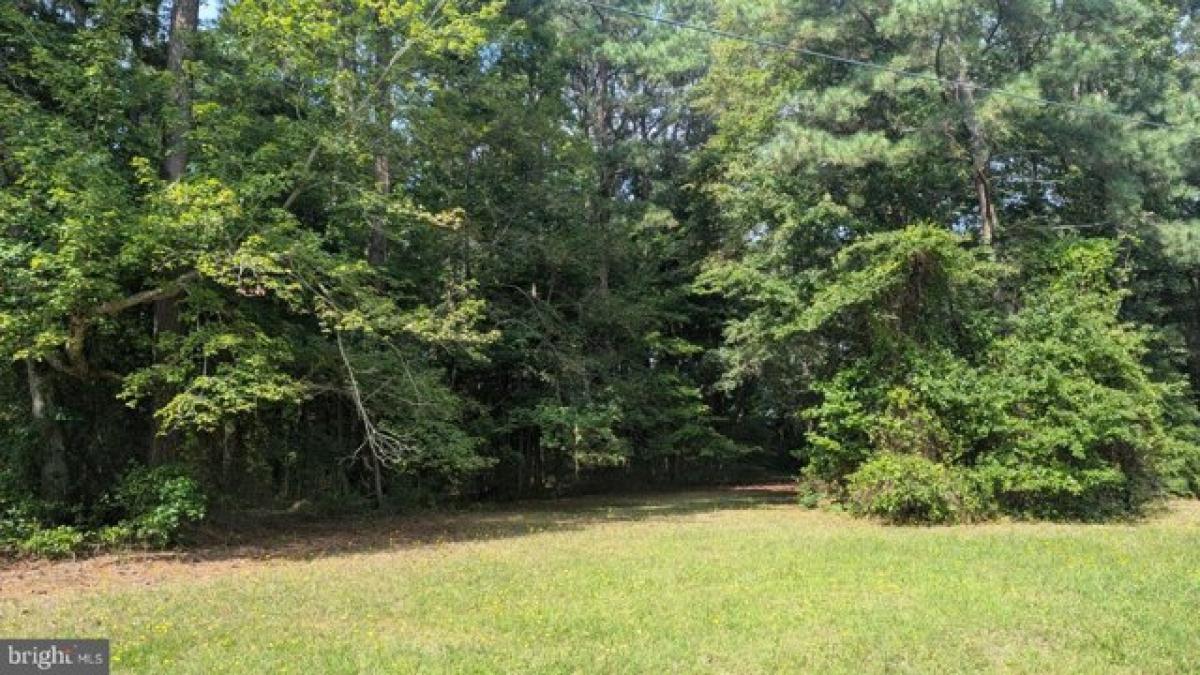 Picture of Residential Land For Sale in Montross, Virginia, United States