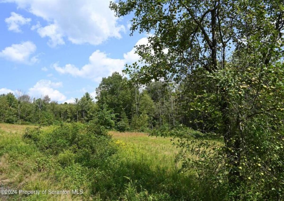 Picture of Residential Land For Sale in Hallstead, Pennsylvania, United States