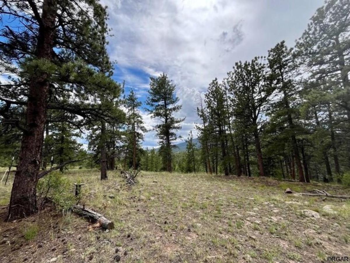 Picture of Residential Land For Sale in Canon City, Colorado, United States