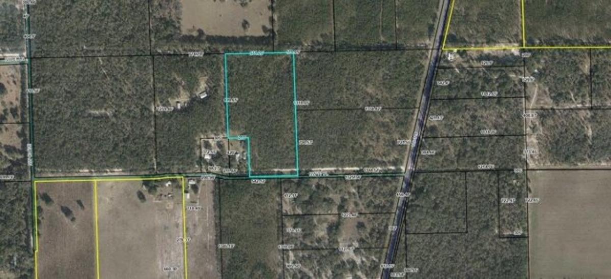 Picture of Residential Land For Sale in Bell, Florida, United States