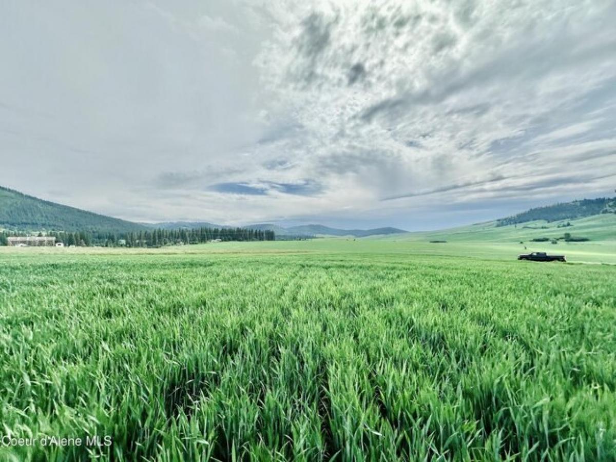 Picture of Residential Land For Sale in Desmet, Idaho, United States