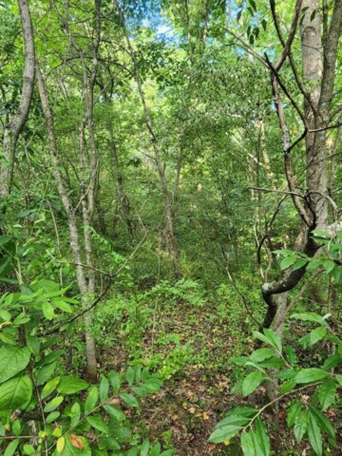 Picture of Residential Land For Sale in Wellston, Ohio, United States