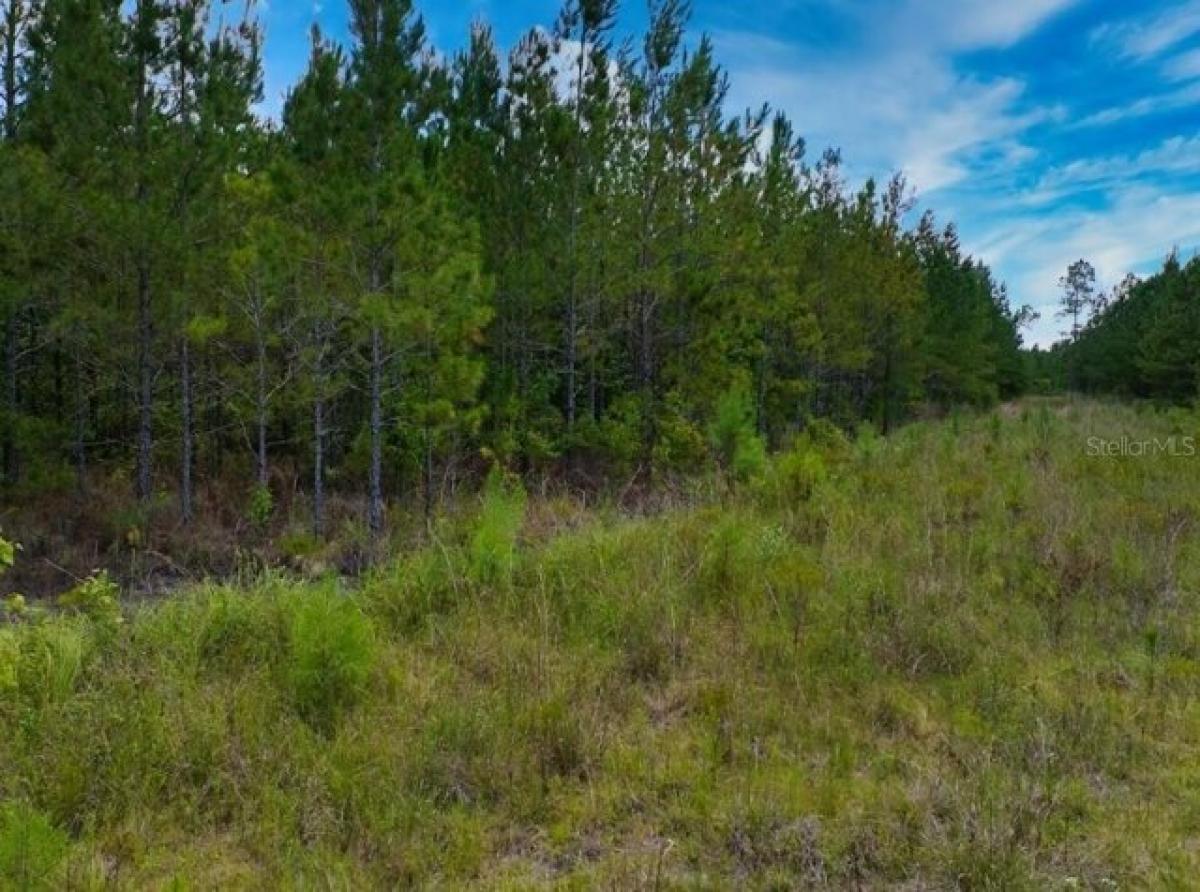 Picture of Residential Land For Sale in Starke, Florida, United States