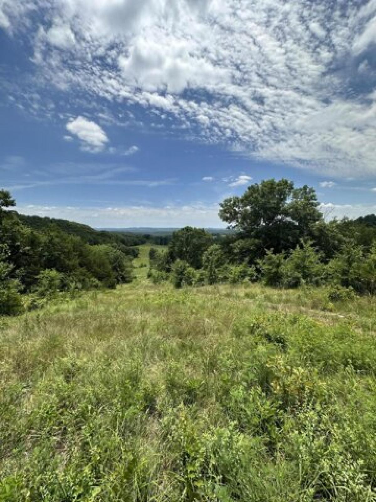 Picture of Residential Land For Sale in Eagle Rock, Missouri, United States