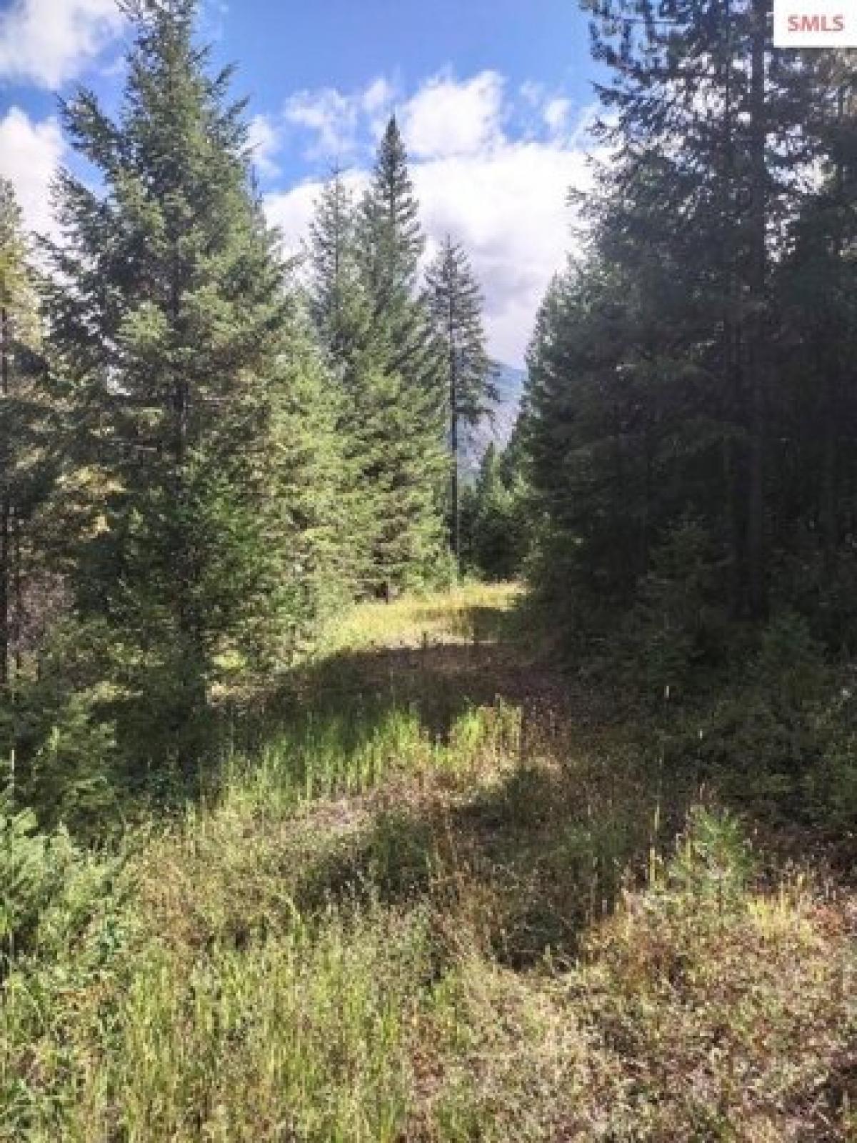 Picture of Residential Land For Sale in Bonners Ferry, Idaho, United States