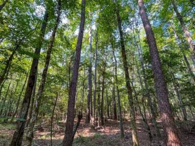 Residential Land For Sale in Wiergate, Texas