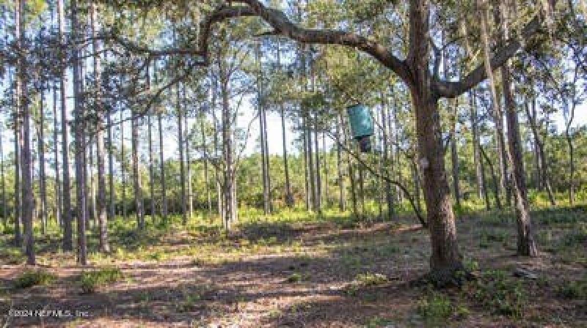 Picture of Residential Land For Sale in Hawthorne, Florida, United States