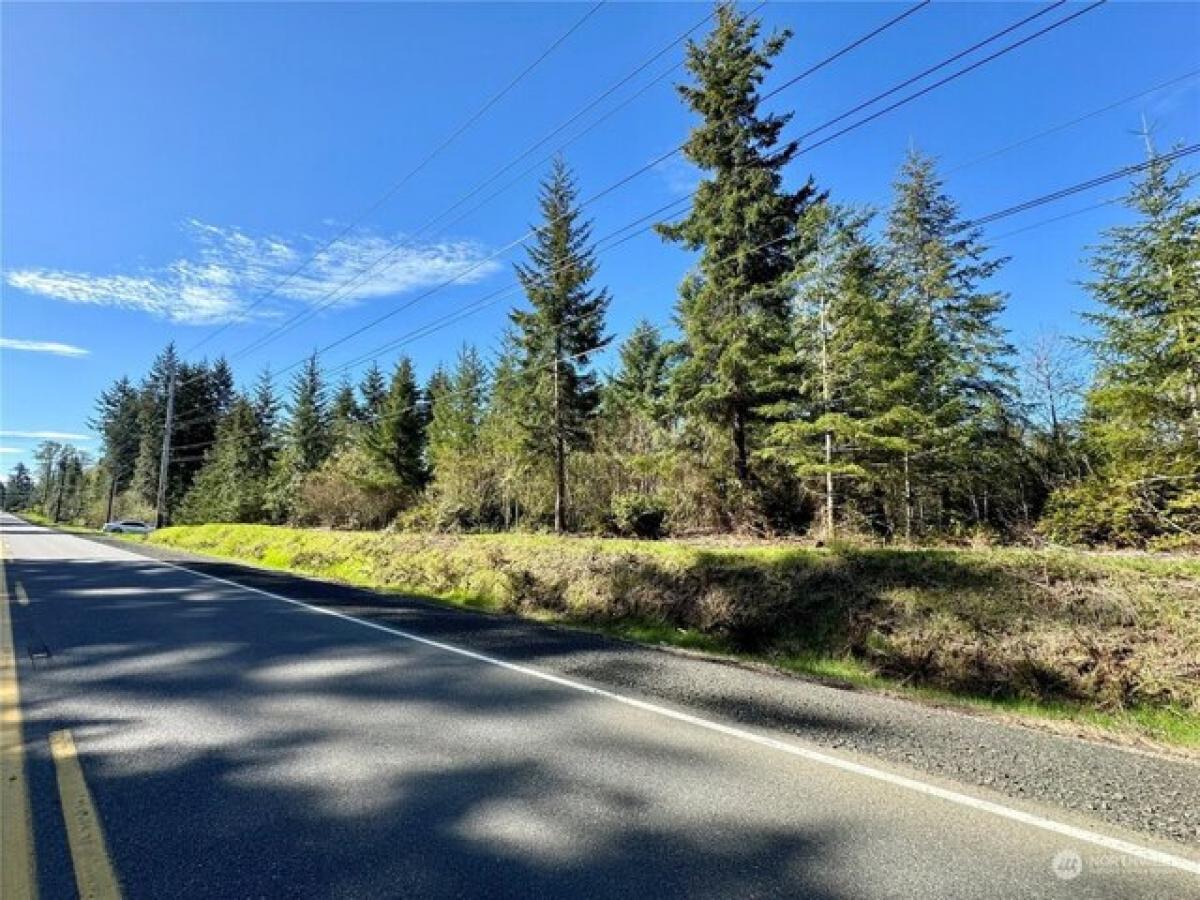 Picture of Residential Land For Sale in Shelton, Washington, United States