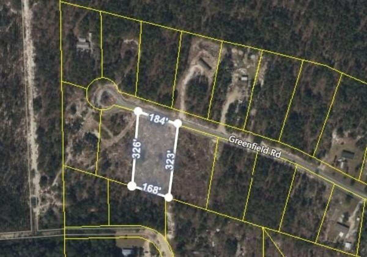 Picture of Residential Land For Sale in Blackshear, Georgia, United States