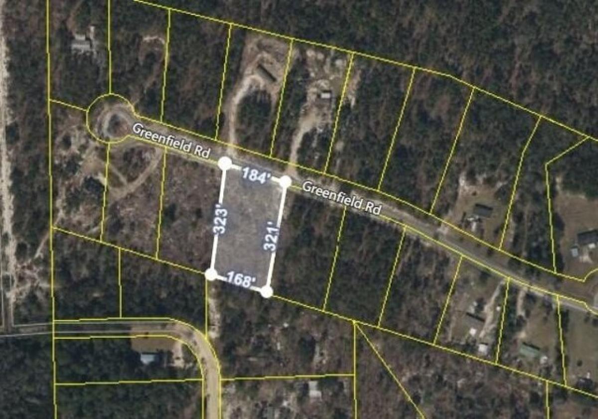 Picture of Residential Land For Sale in Blackshear, Georgia, United States