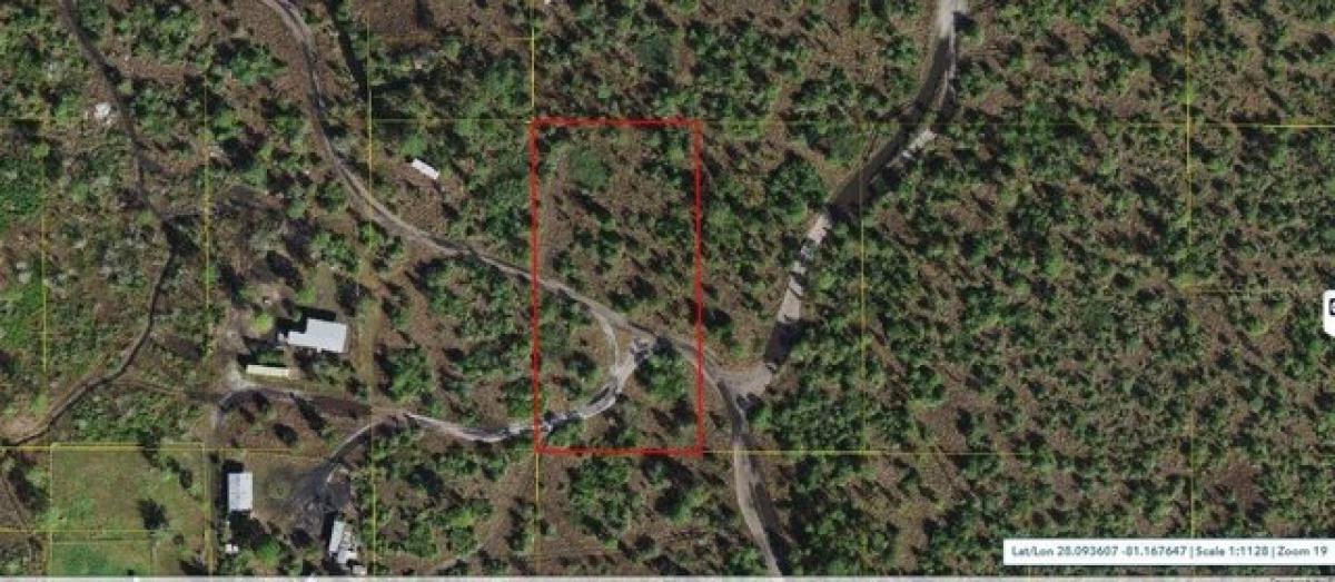 Picture of Residential Land For Sale in Saint Cloud, Florida, United States