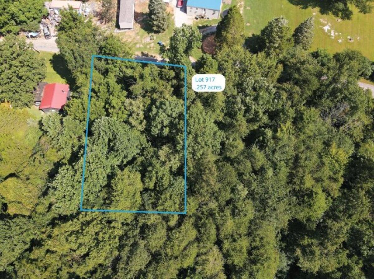 Picture of Residential Land For Rent in Burnside, Kentucky, United States