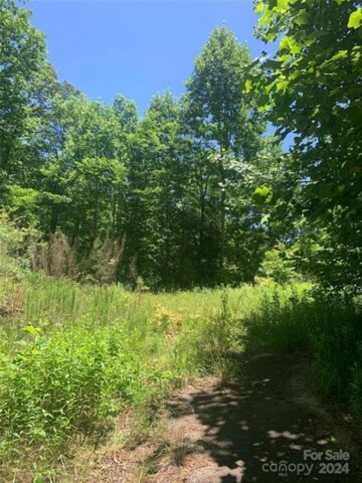 Picture of Residential Land For Sale in Bryson City, North Carolina, United States