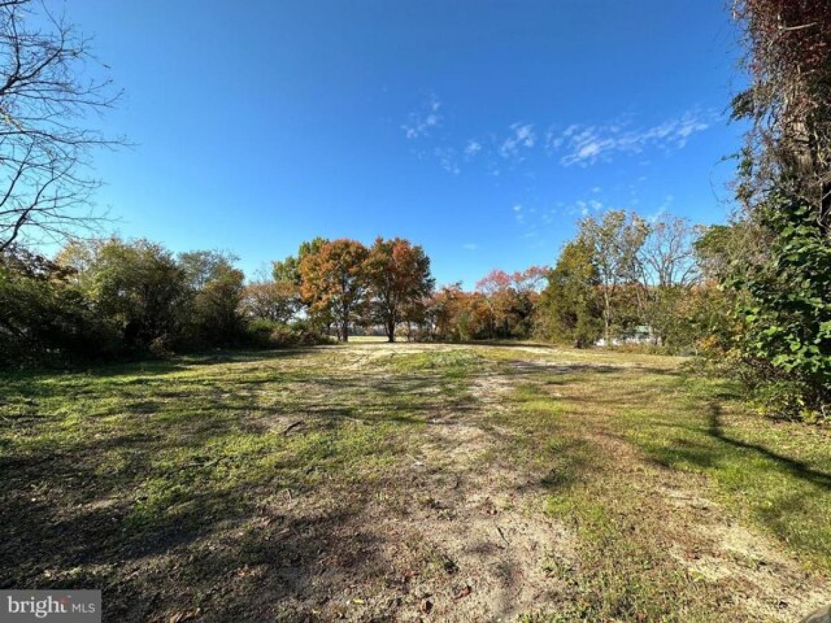 Picture of Residential Land For Sale in Centreville, Maryland, United States