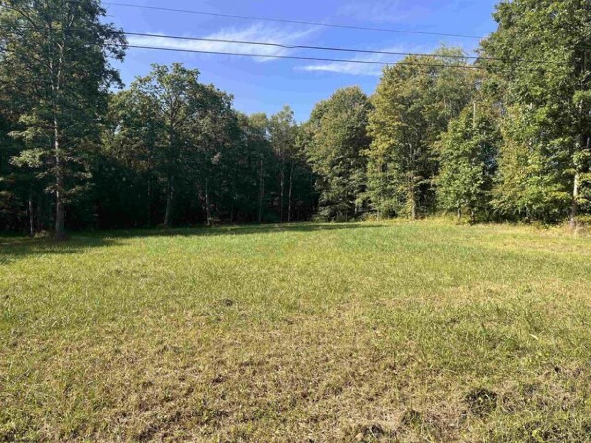 Picture of Residential Land For Sale in Bruceton Mills, West Virginia, United States