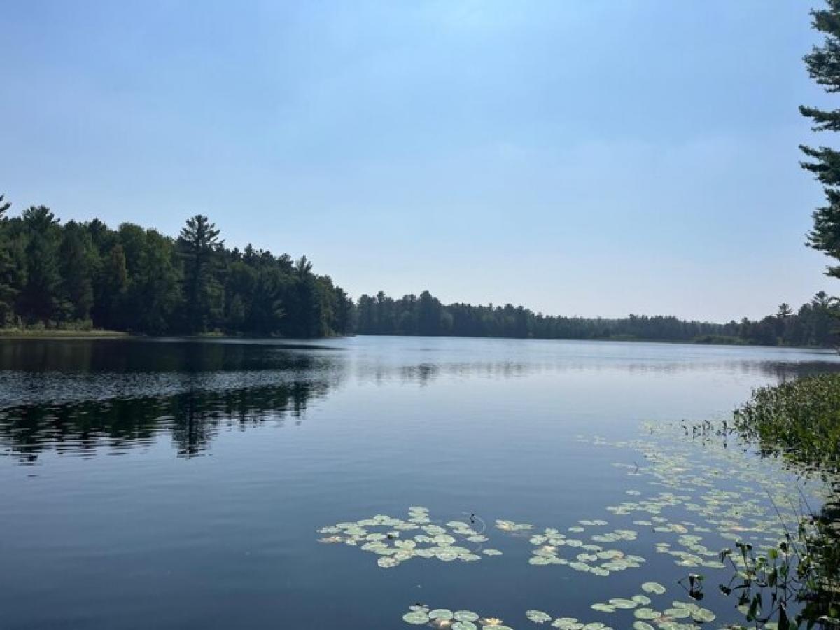 Picture of Residential Land For Sale in Minocqua, Wisconsin, United States