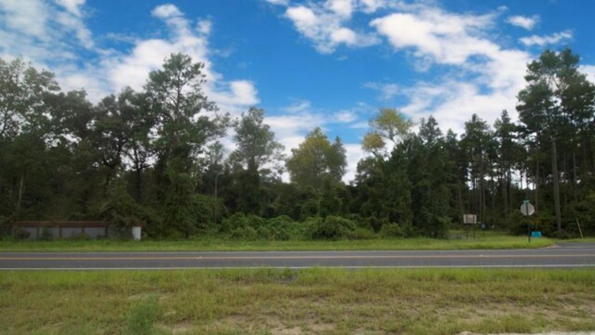 Picture of Residential Land For Sale in Crawfordville, Florida, United States