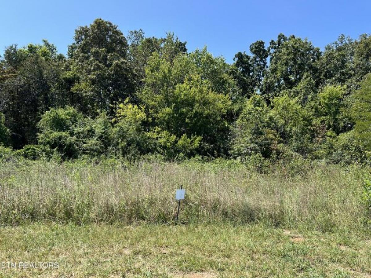 Picture of Residential Land For Sale in Sweetwater, Tennessee, United States