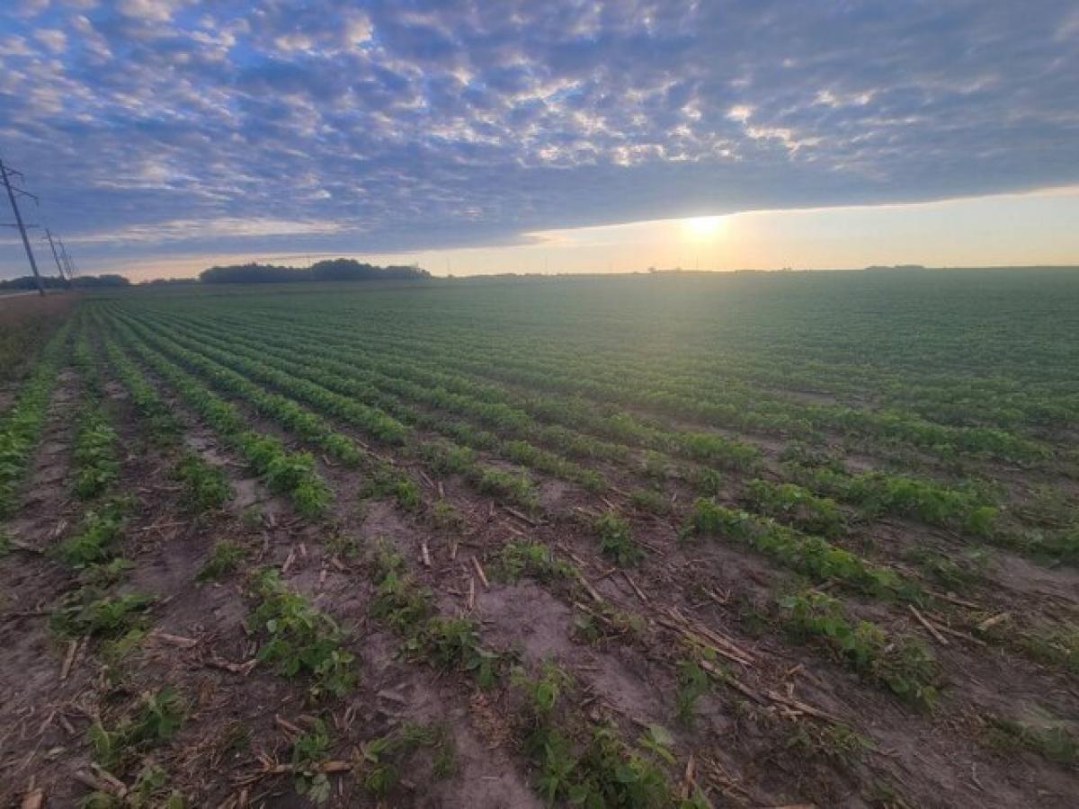 Picture of Residential Land For Sale in Austin, Minnesota, United States