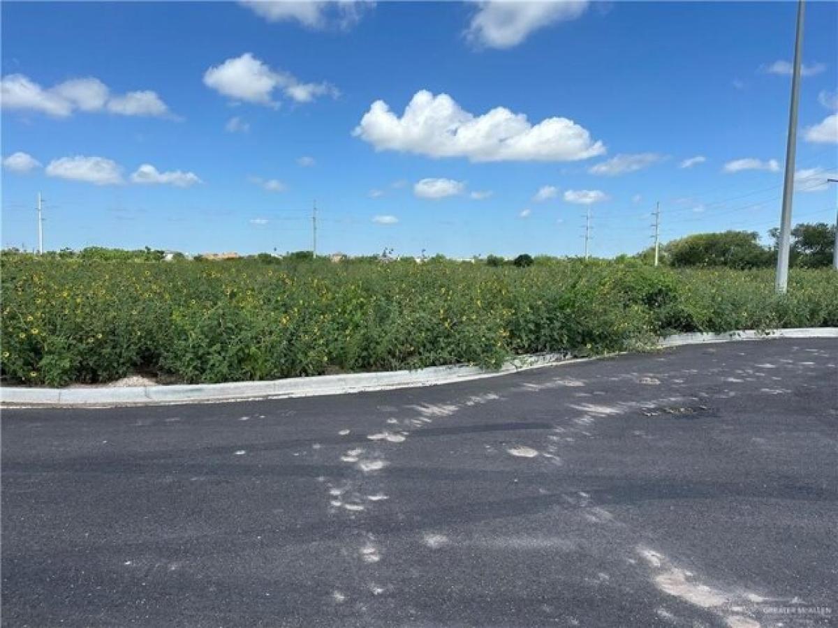 Picture of Residential Land For Sale in San Juan, Texas, United States