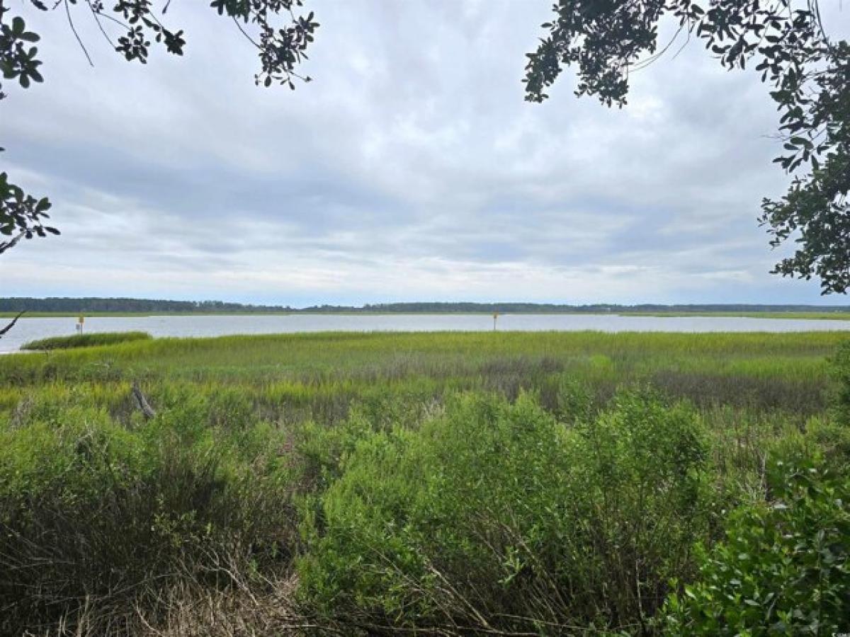 Picture of Residential Land For Sale in Murrells Inlet, South Carolina, United States