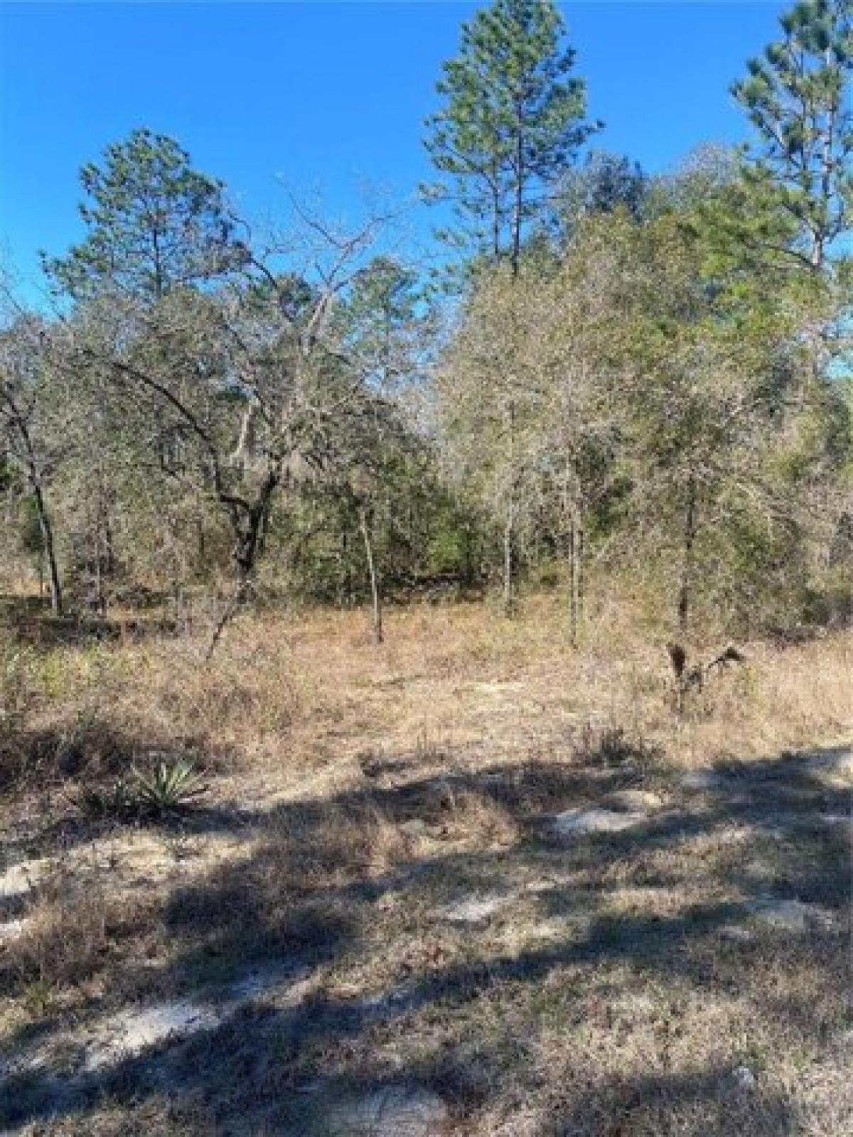 Picture of Residential Land For Sale in Weeki Wachee, Florida, United States