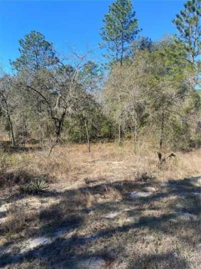 Residential Land For Sale in Weeki Wachee, Florida