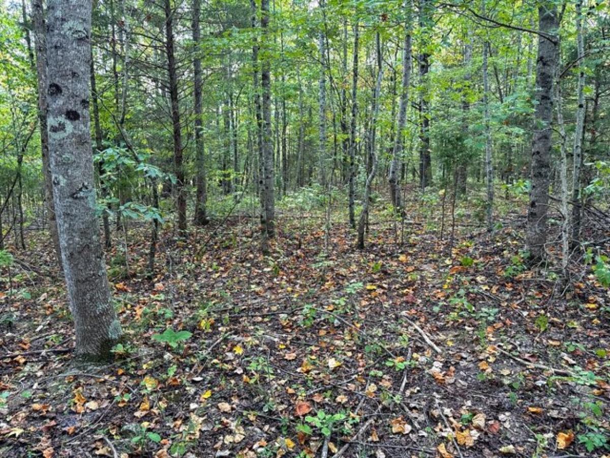 Picture of Residential Land For Sale in Minor Hill, Tennessee, United States