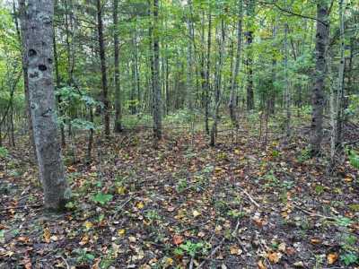 Residential Land For Sale in Minor Hill, Tennessee