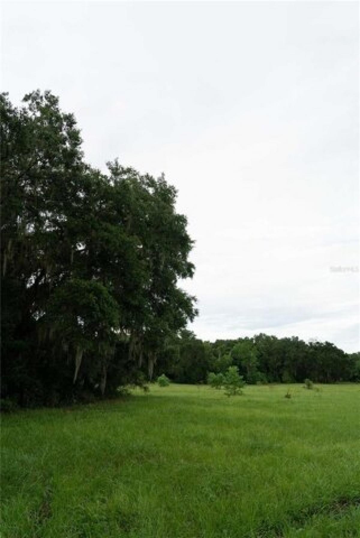 Picture of Residential Land For Sale in Gainesville, Florida, United States