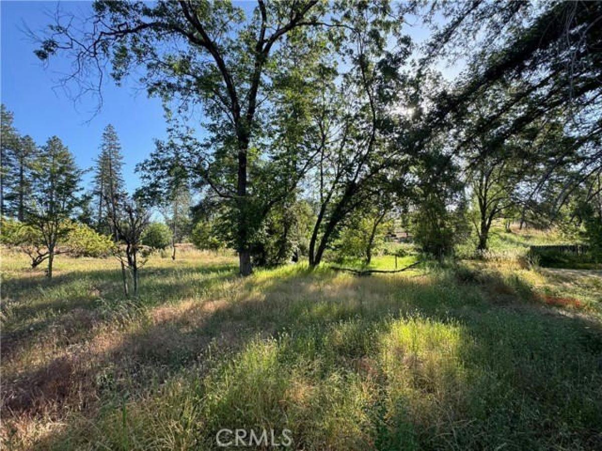 Picture of Residential Land For Sale in Paradise, California, United States