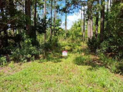 Residential Land For Sale in Bunnell, Florida