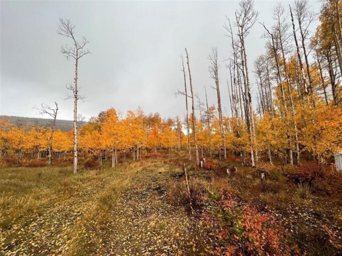 Picture of Residential Land For Sale in Fairplay, Colorado, United States