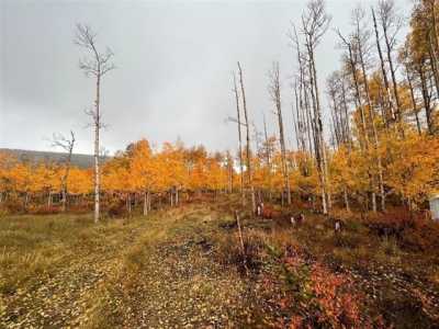 Residential Land For Sale in Fairplay, Colorado