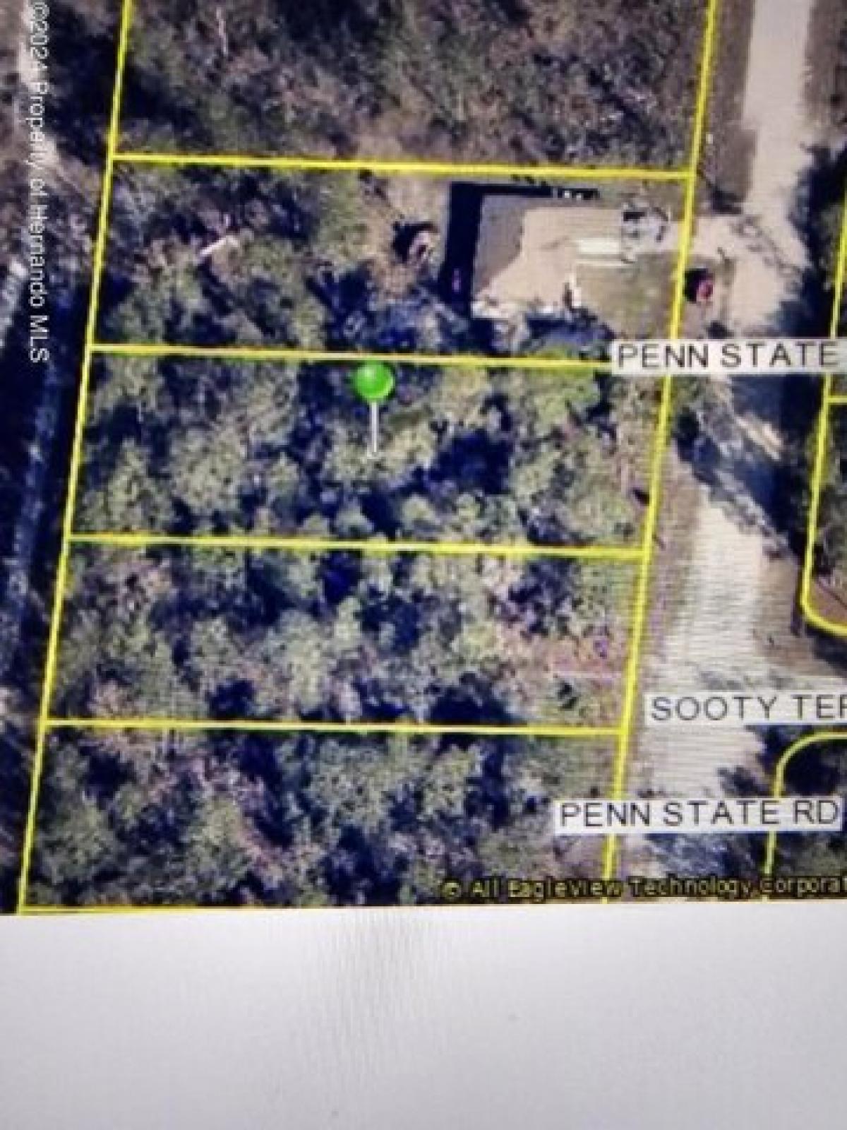 Picture of Residential Land For Sale in Brooksville, Florida, United States