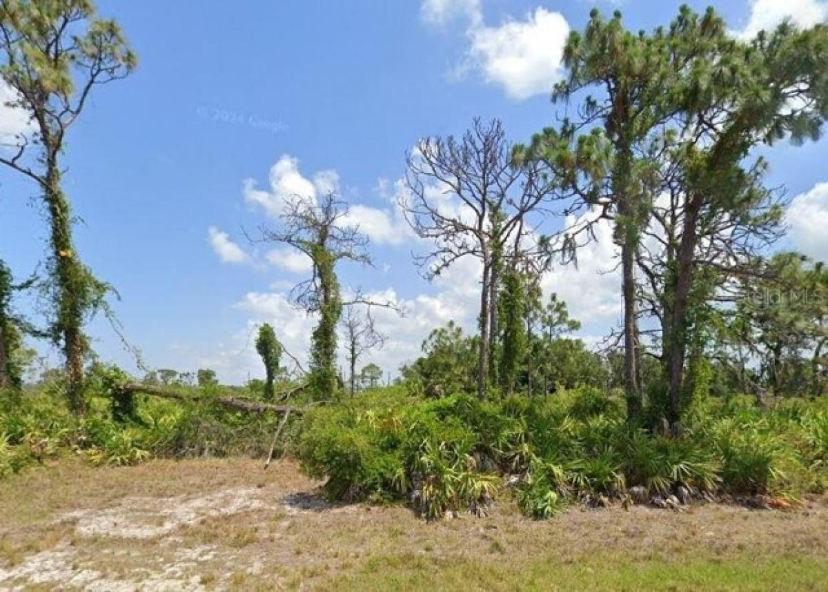 Picture of Residential Land For Sale in Placida, Florida, United States