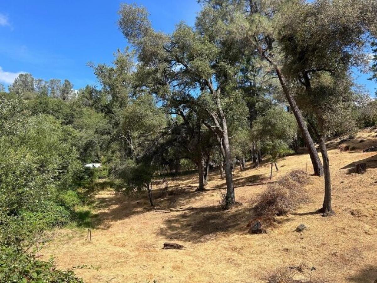 Picture of Residential Land For Sale in Grass Valley, California, United States