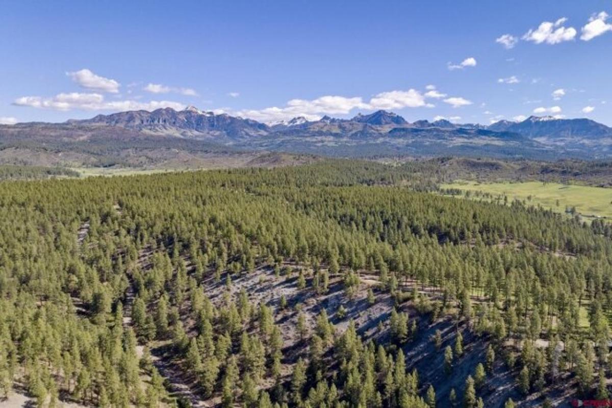 Picture of Residential Land For Sale in Pagosa Springs, Colorado, United States