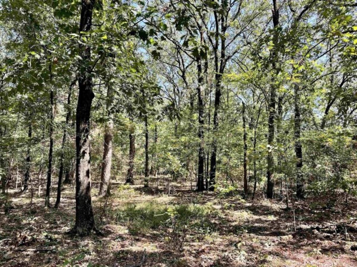 Picture of Residential Land For Sale in Havana, Arkansas, United States