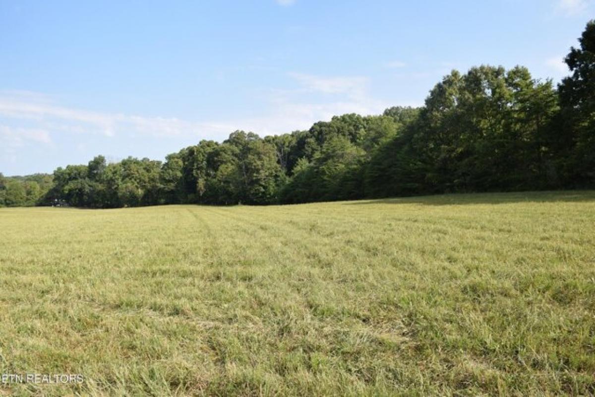 Picture of Residential Land For Sale in Lenoir City, Tennessee, United States