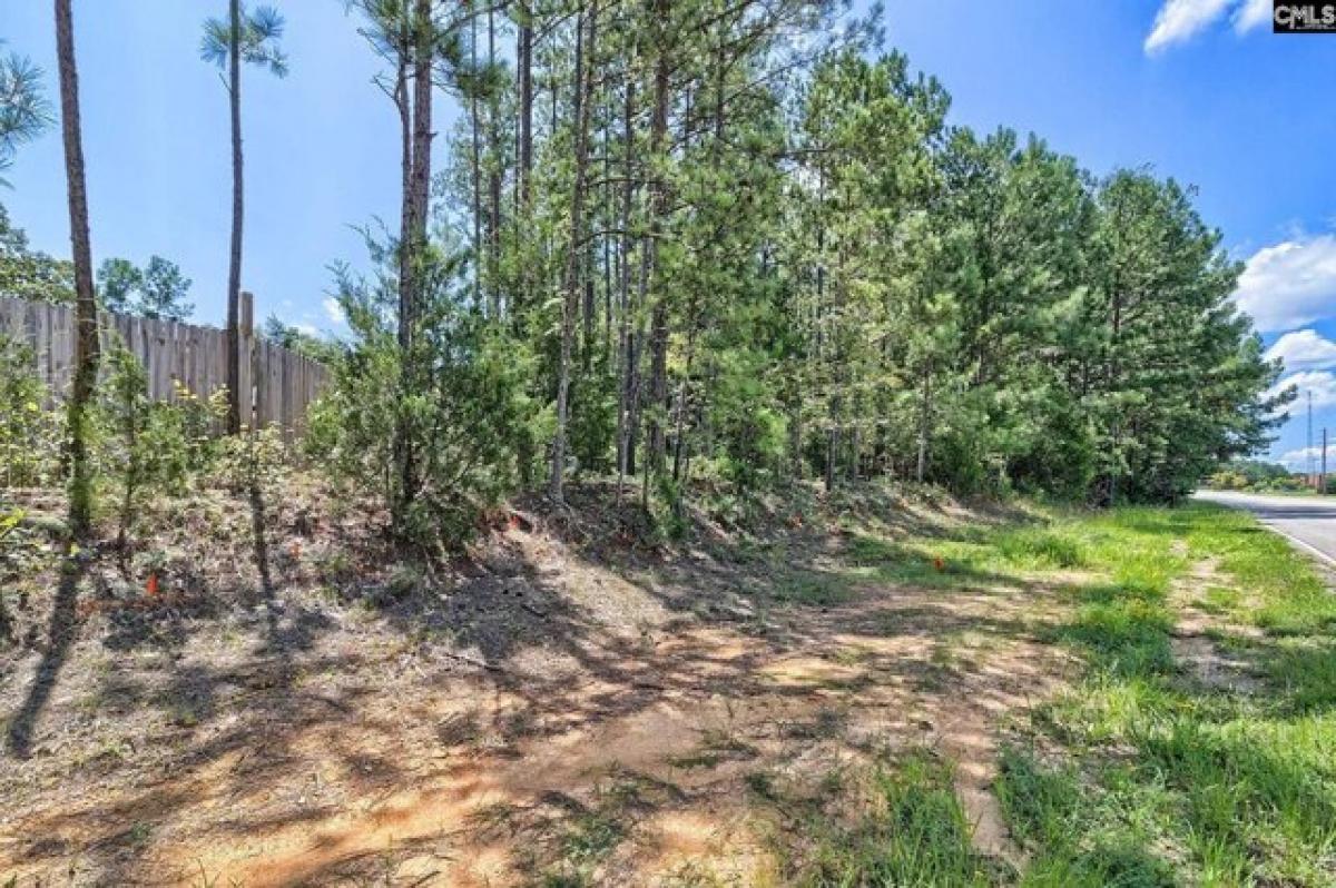 Picture of Residential Land For Sale in Irmo, South Carolina, United States