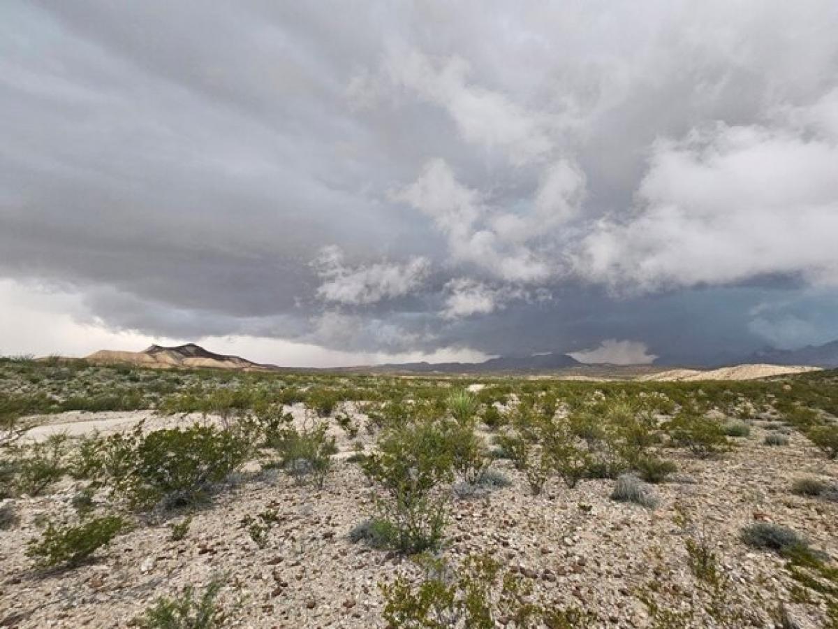 Picture of Residential Land For Sale in Terlingua, Texas, United States