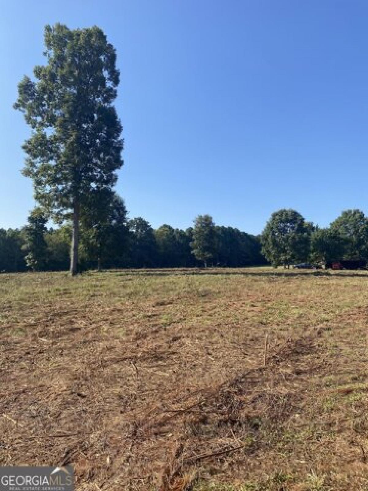 Picture of Residential Land For Sale in Madison, Georgia, United States