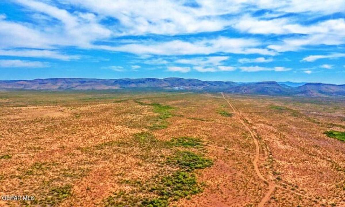 Picture of Residential Land For Sale in Fort Hancock, Texas, United States