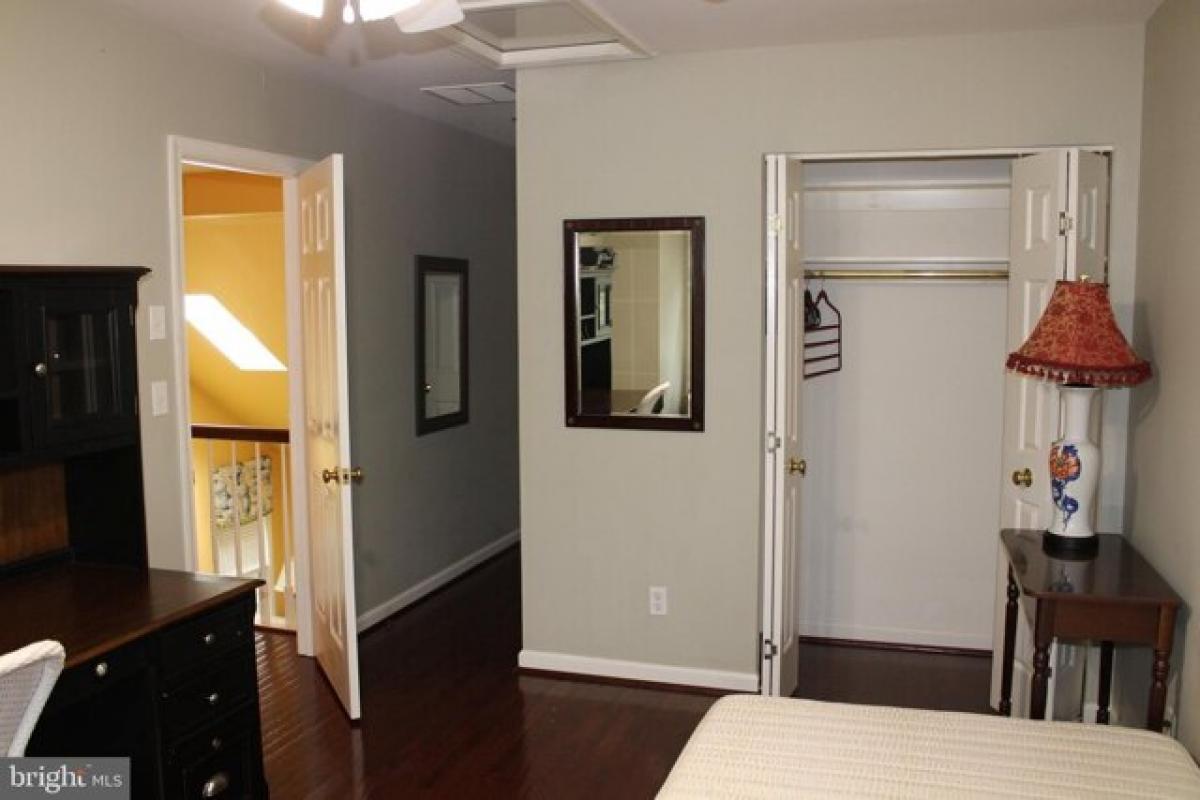 Picture of Home For Rent in Charlottesville, Virginia, United States